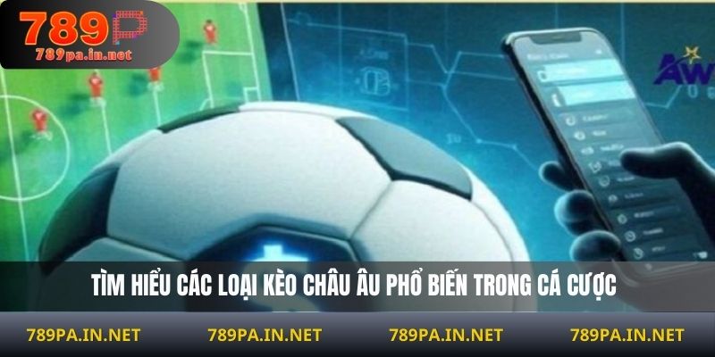 Tìm hiểu các loại kèo châu Âu phổ biến trong cá cược
