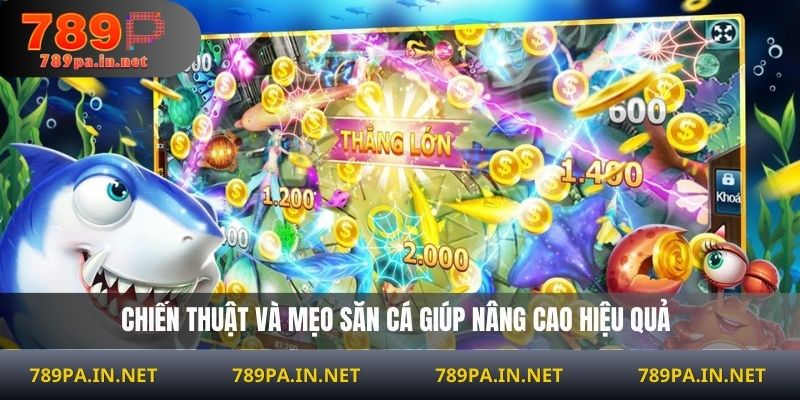 Chiến thuật và mẹo săn cá giúp nâng cao hiệu quả