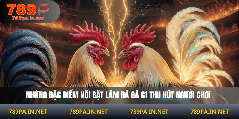 Những đặc điểm nổi bật làm đá gà C1 thu hút người chơi