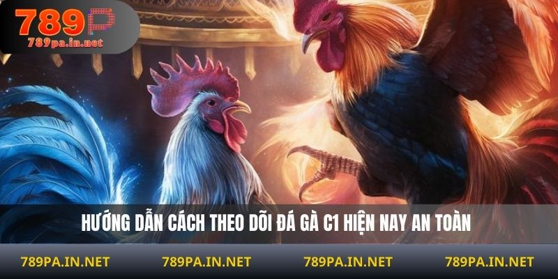 Hướng dẫn cách theo dõi đá gà C1 hiện nay an toàn