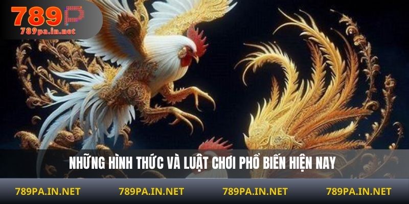 Những hình thức và luật chơi phổ biến hiện nay