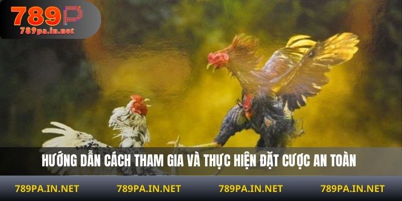 Hướng dẫn cách tham gia và thực hiện đặt cược an toàn